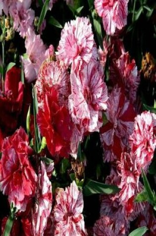 Cover of Floral Journal Traditional Wedding Carnations