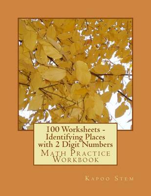 Cover of 100 Worksheets - Identifying Places with 2 Digit Numbers