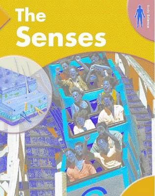 Book cover for The Senses