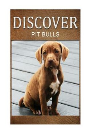 Cover of Pit bull - Discover