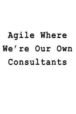 Cover of Agile Where We're Our Own Consultants