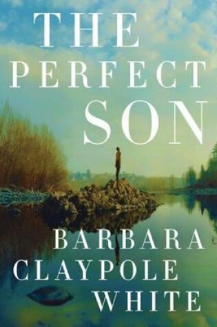 Cover of The Perfect Son