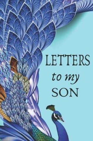 Cover of Letters To My Son