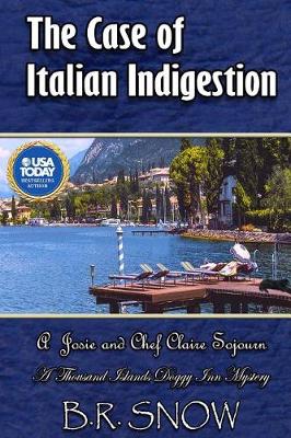 Book cover for The Case of Italian Indigestion