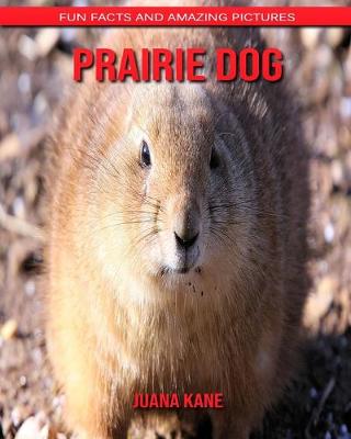 Book cover for Prairie Dog