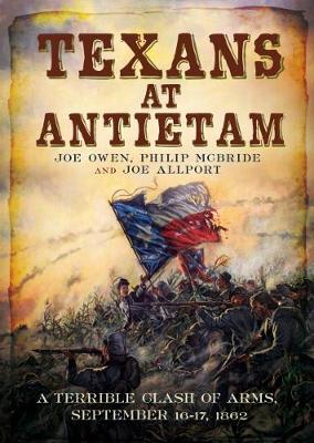 Book cover for Texans at Antietam