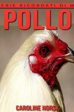 Cover of Pollo