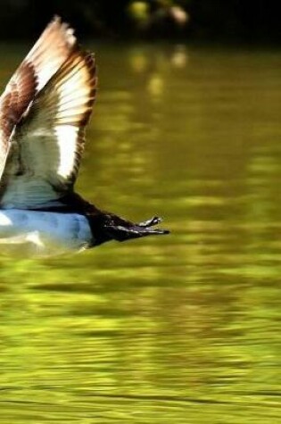 Cover of Tufted Ducks in Flight Notebook