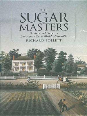 Book cover for The Sugar Masters