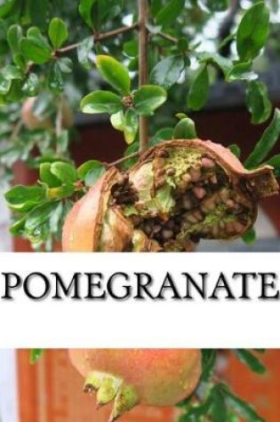 Cover of Pomegranate