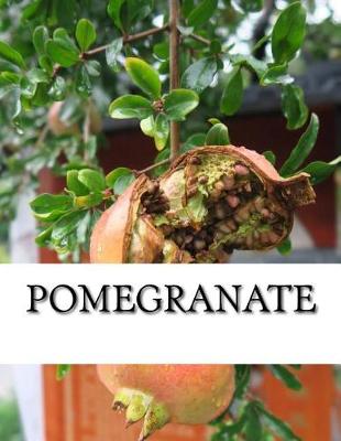 Book cover for Pomegranate