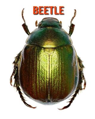 Book cover for Beetle