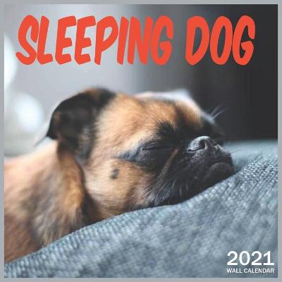 Book cover for 2021 Sleeping Dog