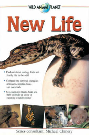 Cover of New Life