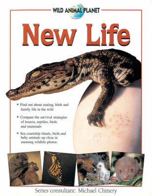 Cover of New Life