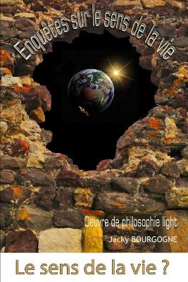 Book cover for Enquetes sur le sens de la vie