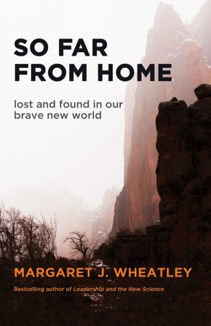 Book cover for So Far from Home: Lost and Found in Our Brave New World