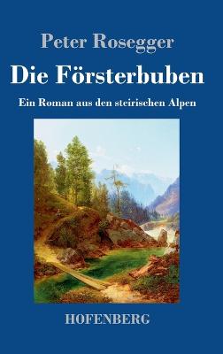 Book cover for Die Försterbuben