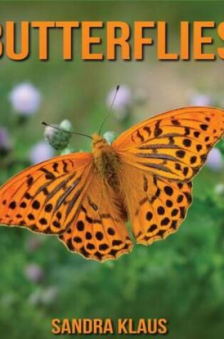 Cover of Butterflies