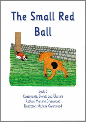 Book cover for The Small Red Ball