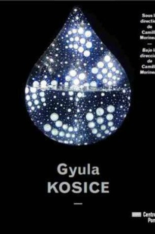Cover of Gyula Kosice