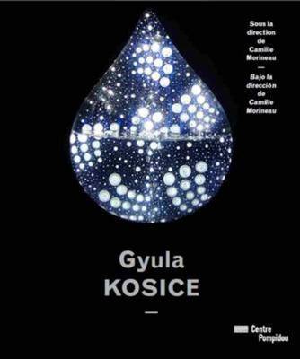 Book cover for Gyula Kosice