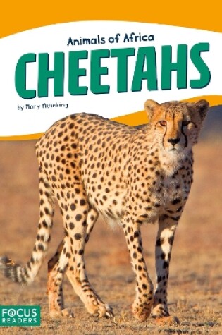 Cover of Cheetahs