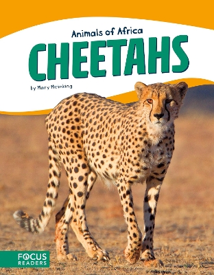 Book cover for Cheetahs