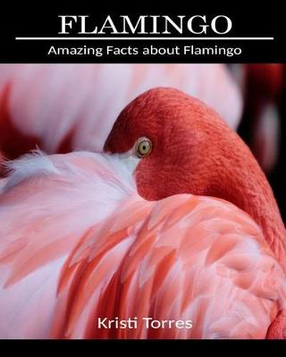 Book cover for Amazing Facts about Flamingo