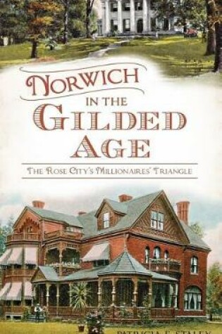 Cover of Norwich in the Gilded Age