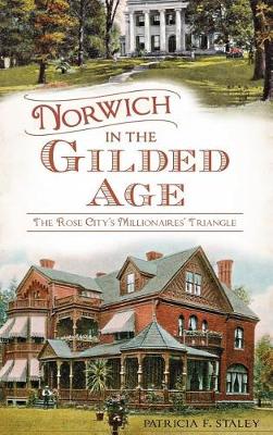 Book cover for Norwich in the Gilded Age