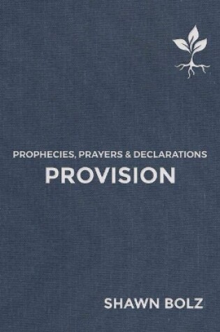 Cover of Provision