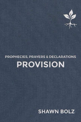 Book cover for Provision