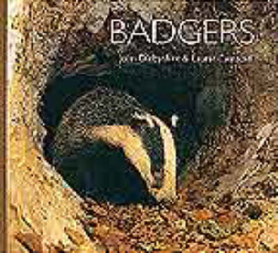 Cover of Badgers