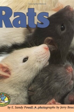 Cover of Rats