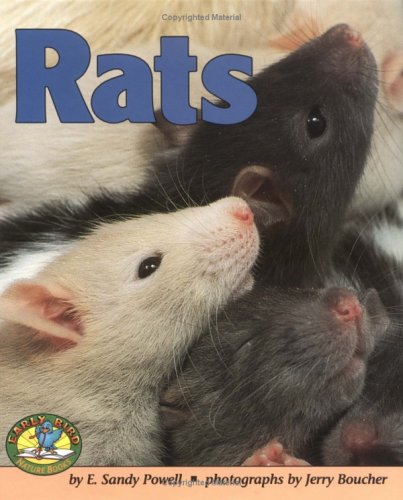 Cover of Rats