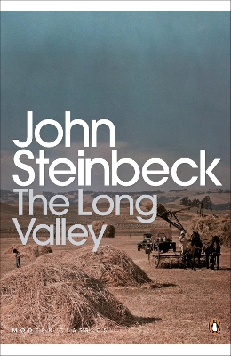 Book cover for The Long Valley