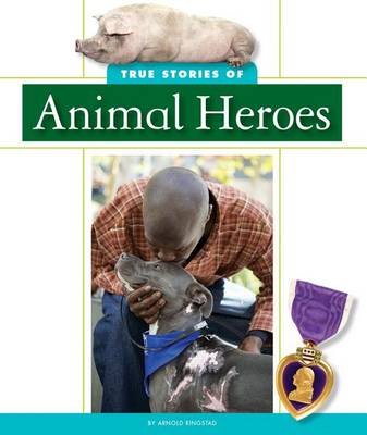 Book cover for True Stories of Animal Heroes
