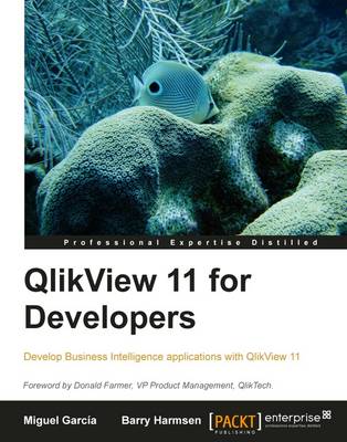 Book cover for QlikView 11 for Developers