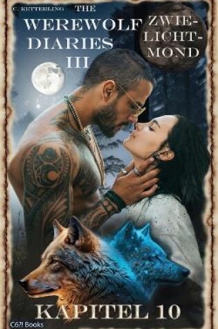 Cover of The Werewolf Diaries 3