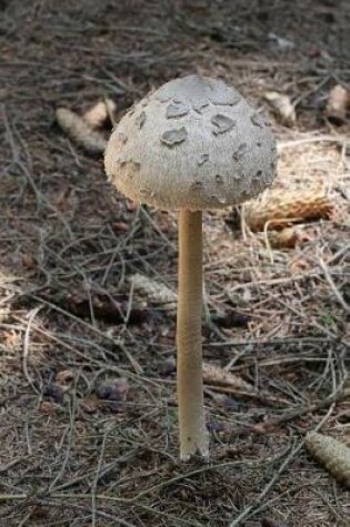 Cover of Macrolepiota Pocera Parasol Mushroom in the Forest Journal