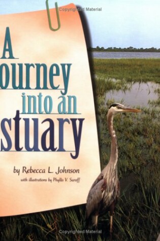 Cover of A Journey Into an Estuary
