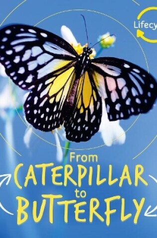 Cover of From Caterpillar to Butterfly