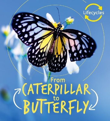 Cover of From Caterpillar to Butterfly