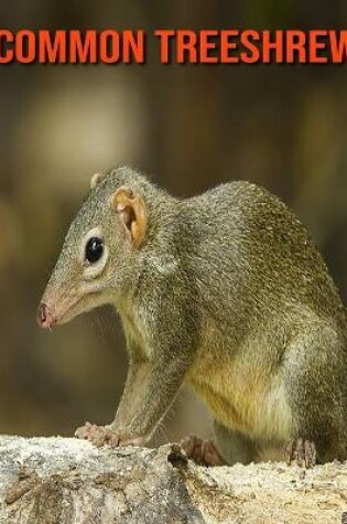 Cover of Common Treeshrew