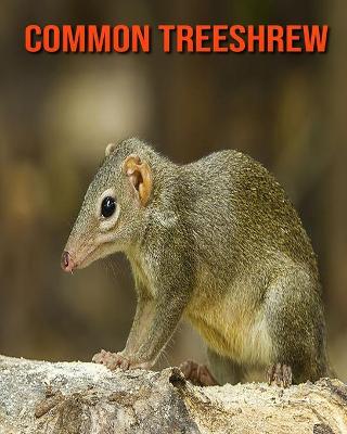 Book cover for Common Treeshrew