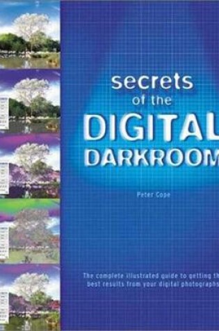 Cover of Secrets of the Digital Darkroom
