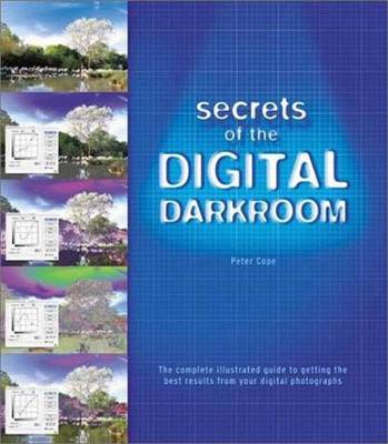 Book cover for Secrets of the Digital Darkroom