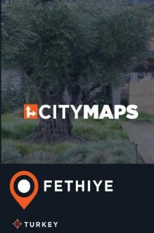 Cover of City Maps Fethiye Turkey