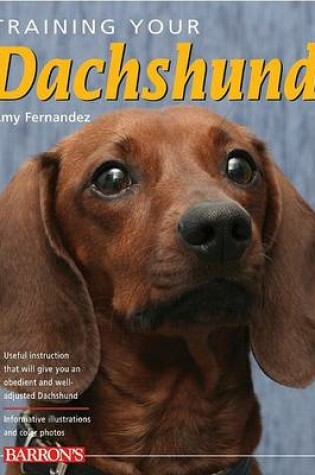 Cover of Training Your Dachshund